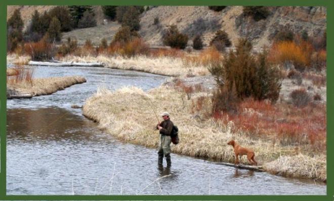 Fly Fishing with Your Dog