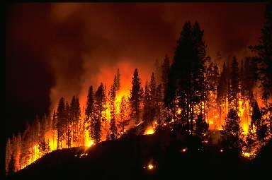 Montana Wildfire
