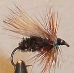 Caddis trout fly made by Chuck the fly guy in Philipsburg, MT. When you visit Philipsburg there are many great fly fishing opportunities.