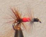 Red Renegade trout fly, made by Chuck the fly guy in Philipsburg, Montana. Great for rising trout. The meat and potatoes of dry fly fishing - great producer for any season.